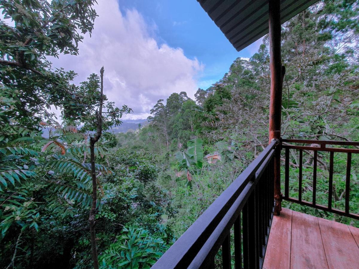 Serene Homestay Ella Kültér fotó
