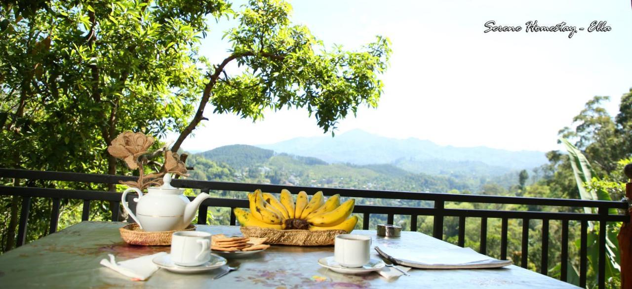 Serene Homestay Ella Kültér fotó