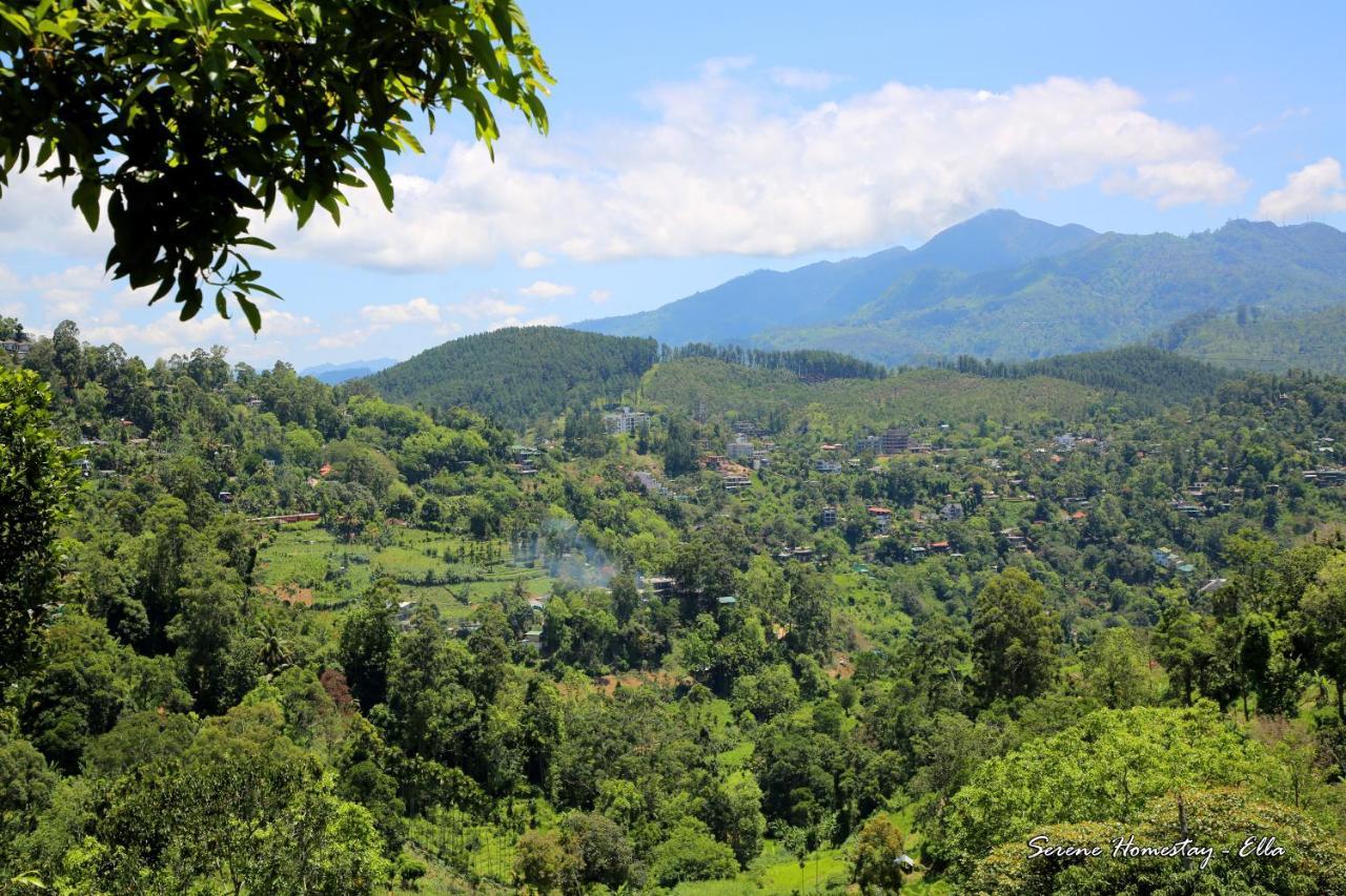 Serene Homestay Ella Kültér fotó