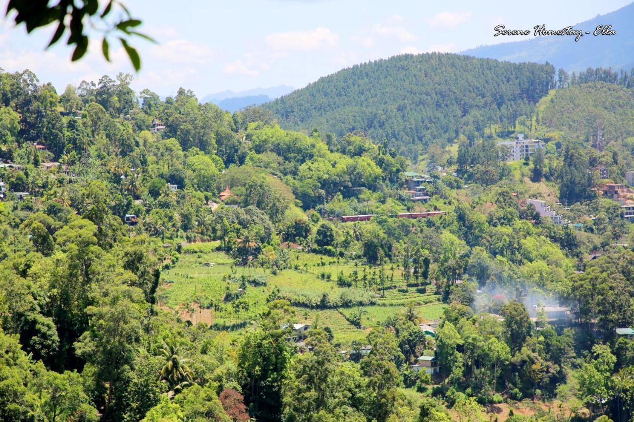 Serene Homestay Ella Kültér fotó